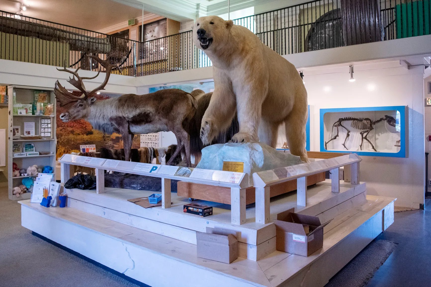 🔬 국립극지연구소 남극・북극 과학관(코쿠리츠쿄쿠치켄큐쇼 난쿄쿠・홋쿄쿠카가쿠칸) 이미지 7